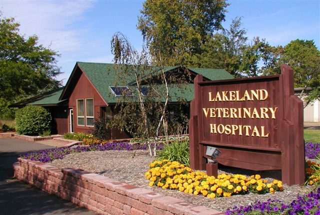 Lakeland Veterinary Hospital, the 